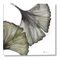 Picture of Ginko Leaves I _GroupedProduct_Square_Canvas_
