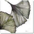 Picture of Ginko Leaves I _GroupedProduct_Square_Canvas_