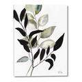 Picture of Layered Botanical _GroupedProduct_Rectangle_Portrait_Canvas_