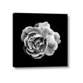 Picture of Black and White Rose _GroupedProduct_Square_Canvas_