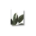 Picture of Focus of White Flower Peace Lily _GroupedProduct_Rectangle_Portrait_Canvas_