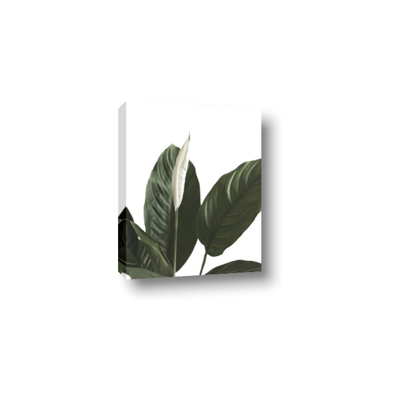 Picture of Focus of White Flower Peace Lily _GroupedProduct_Rectangle_Portrait_Canvas_