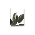 Picture of Focus of White Flower Peace Lily _GroupedProduct_Rectangle_Portrait_Canvas_
