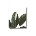 Picture of Focus of White Flower Peace Lily _GroupedProduct_Rectangle_Portrait_Canvas_