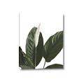 Picture of Focus of White Flower Peace Lily _GroupedProduct_Rectangle_Portrait_Canvas_