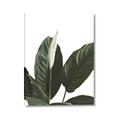 Picture of Focus of White Flower Peace Lily _GroupedProduct_Rectangle_Portrait_Canvas_