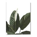 Picture of Focus of White Flower Peace Lily _GroupedProduct_Rectangle_Portrait_Canvas_