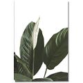 Picture of Focus of White Flower Peace Lily _GroupedProduct_Rectangle_Portrait_Canvas_