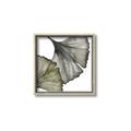 Picture of Ginko Leaves I _GroupedProduct_Square_Canvas_Framed_