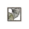 Picture of Ginko Leaves I _GroupedProduct_Square_Canvas_Framed_