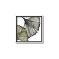 Picture of Ginko Leaves I _GroupedProduct_Square_Canvas_Framed_