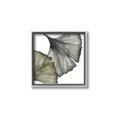 Picture of Ginko Leaves I _GroupedProduct_Square_Canvas_Framed_