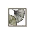 Picture of Ginko Leaves I _GroupedProduct_Square_Canvas_Framed_