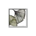 Picture of Ginko Leaves I _GroupedProduct_Square_Canvas_Framed_