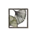 Picture of Ginko Leaves I _GroupedProduct_Square_Canvas_Framed_
