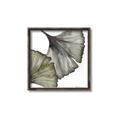 Picture of Ginko Leaves I _GroupedProduct_Square_Canvas_Framed_