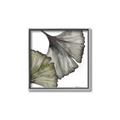 Picture of Ginko Leaves I _GroupedProduct_Square_Canvas_Framed_