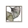 Picture of Ginko Leaves I _GroupedProduct_Square_Canvas_Framed_