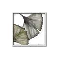 Picture of Ginko Leaves I _GroupedProduct_Square_Canvas_Framed_