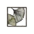 Picture of Ginko Leaves I _GroupedProduct_Square_Canvas_Framed_