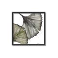 Picture of Ginko Leaves I _GroupedProduct_Square_Canvas_Framed_