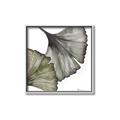 Picture of Ginko Leaves I _GroupedProduct_Square_Canvas_Framed_