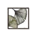 Picture of Ginko Leaves I _GroupedProduct_Square_Canvas_Framed_