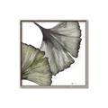Picture of Ginko Leaves I _GroupedProduct_Square_Canvas_Framed_