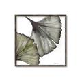 Picture of Ginko Leaves I _GroupedProduct_Square_Canvas_Framed_