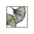 Picture of Ginko Leaves I _GroupedProduct_Square_Canvas_Framed_