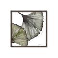 Picture of Ginko Leaves I _GroupedProduct_Square_Canvas_Framed_