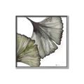 Picture of Ginko Leaves I _GroupedProduct_Square_Canvas_Framed_