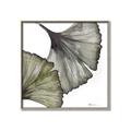 Picture of Ginko Leaves I _GroupedProduct_Square_Canvas_Framed_