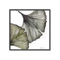 Picture of Ginko Leaves I _GroupedProduct_Square_Canvas_Framed_