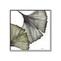 Picture of Ginko Leaves I _GroupedProduct_Square_Canvas_Framed_