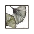 Picture of Ginko Leaves I _GroupedProduct_Square_Canvas_Framed_