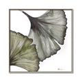 Picture of Ginko Leaves I _GroupedProduct_Square_Canvas_Framed_