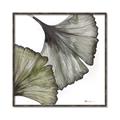 Picture of Ginko Leaves I _GroupedProduct_Square_Canvas_Framed_