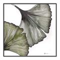 Picture of Ginko Leaves I _GroupedProduct_Square_Canvas_Framed_