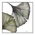 Picture of Ginko Leaves I _GroupedProduct_Square_Canvas_Framed_