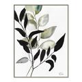 Picture of Layered Botanical _GroupedProduct_Rectangle_Portrait_Canvas_Framed_