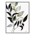 Picture of Layered Botanical _GroupedProduct_Rectangle_Portrait_Canvas_Framed_