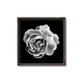 Picture of Black and White Rose _GroupedProduct_Square_Canvas_Framed_