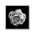 Picture of Black and White Rose _GroupedProduct_Square_Canvas_Framed_