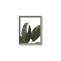 Picture of Focus of White Flower Peace Lily _GroupedProduct_Rectangle_Portrait_Canvas_Framed_