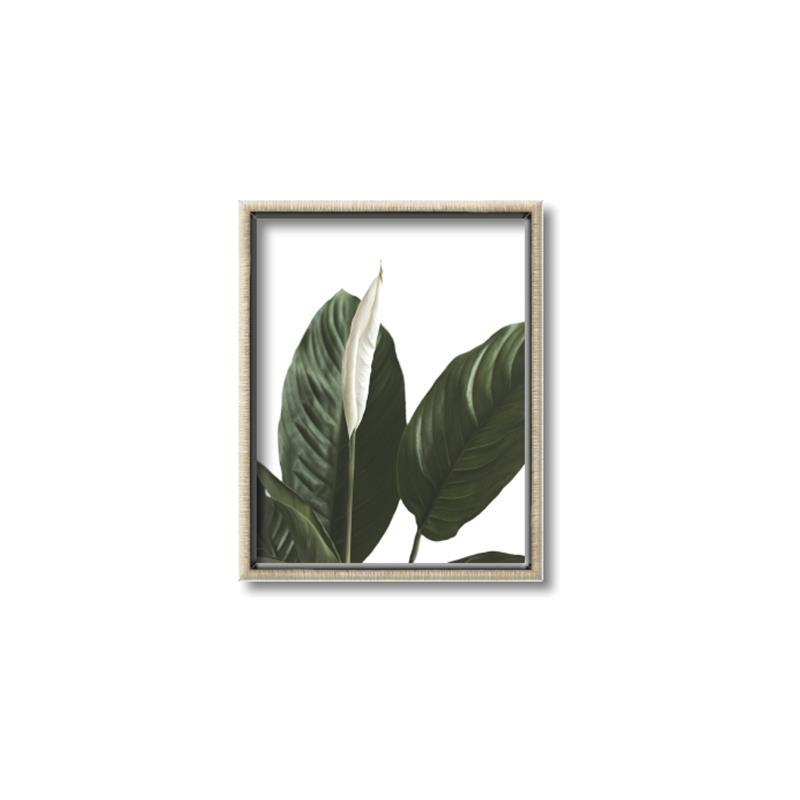 Picture of Focus of White Flower Peace Lily _GroupedProduct_Rectangle_Portrait_Canvas_Framed_