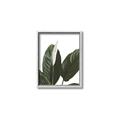 Picture of Focus of White Flower Peace Lily _GroupedProduct_Rectangle_Portrait_Canvas_Framed_