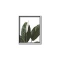 Picture of Focus of White Flower Peace Lily _GroupedProduct_Rectangle_Portrait_Canvas_Framed_