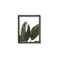 Picture of Focus of White Flower Peace Lily _GroupedProduct_Rectangle_Portrait_Canvas_Framed_