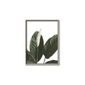 Picture of Focus of White Flower Peace Lily _GroupedProduct_Rectangle_Portrait_Canvas_Framed_